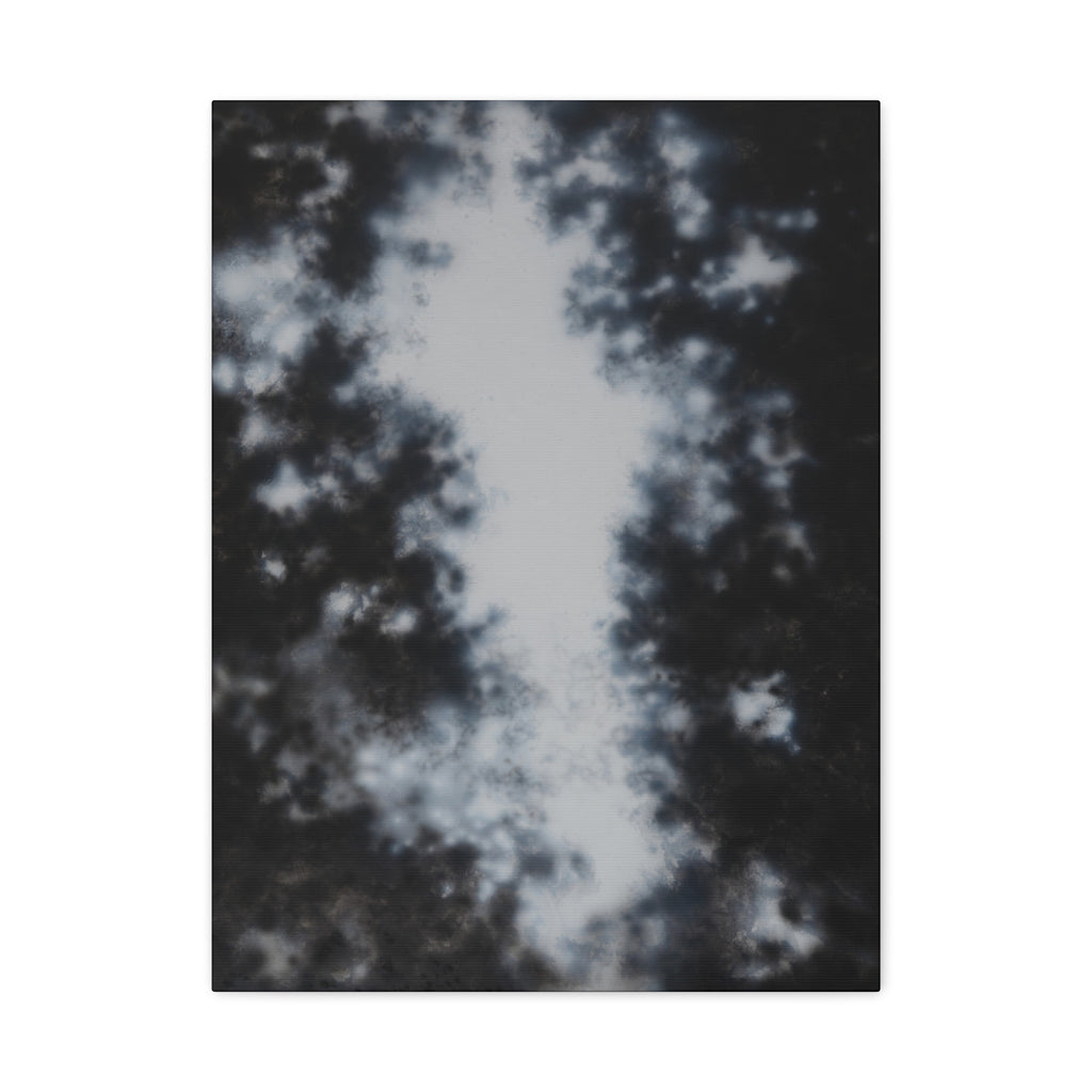 Shadow of a Tree -  Chinese  Contemporary abstract artist - Canvas Print - Gift for new year
