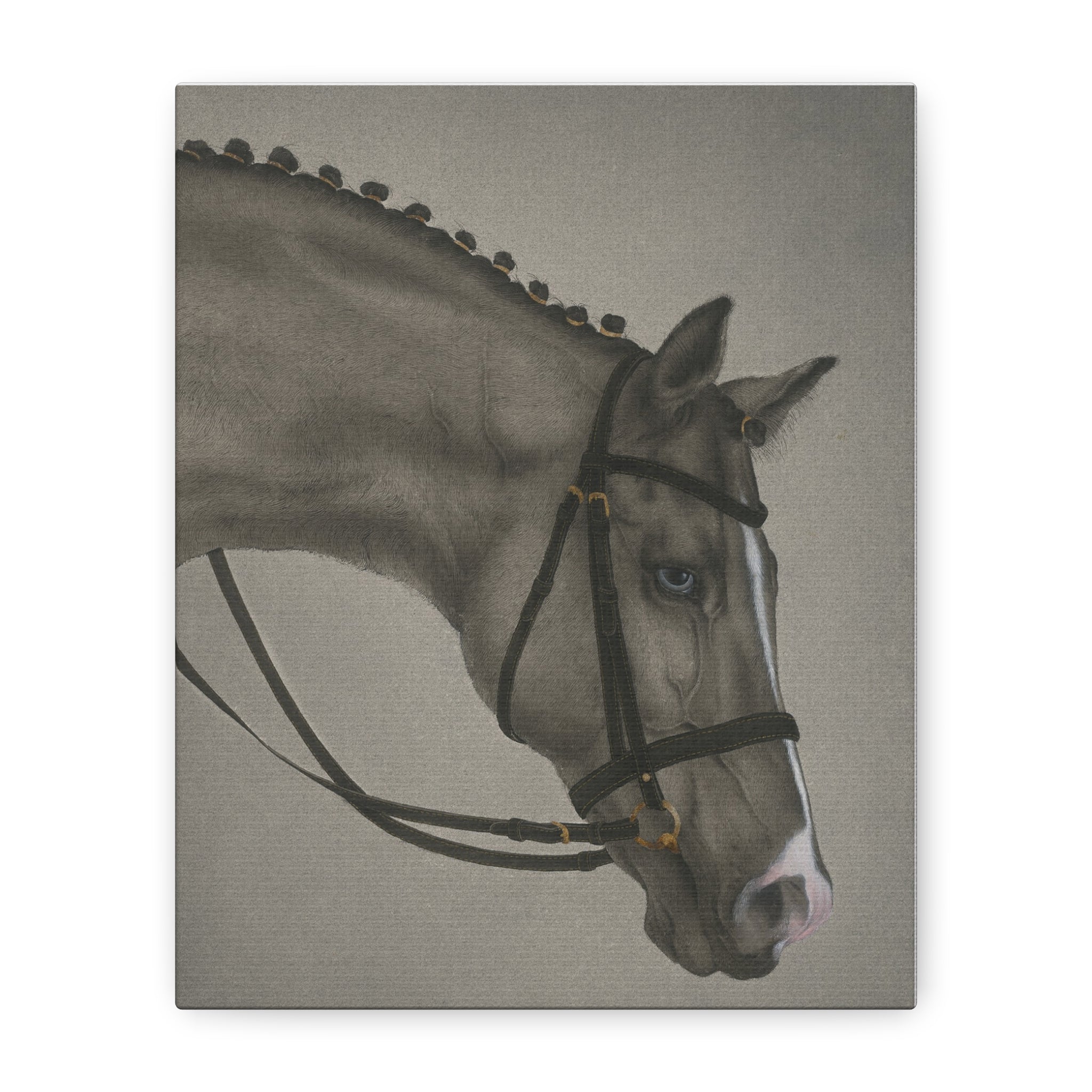 Black Horse -  Chinese  Contemporary watercolor painting - Canvas Print - Gift for year of Horse