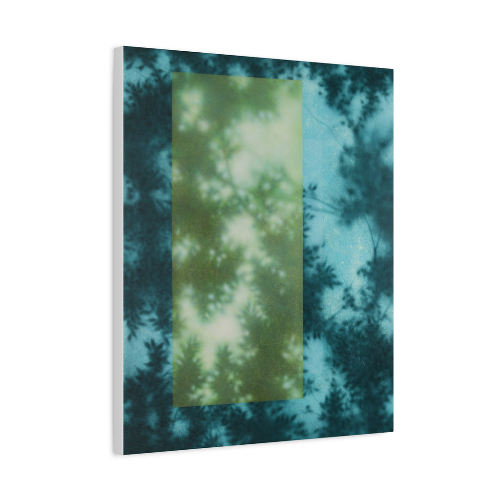 Shadow of a Tree -  Chinese  Contemporary abstract artist - Canvas Print - Gift for new year