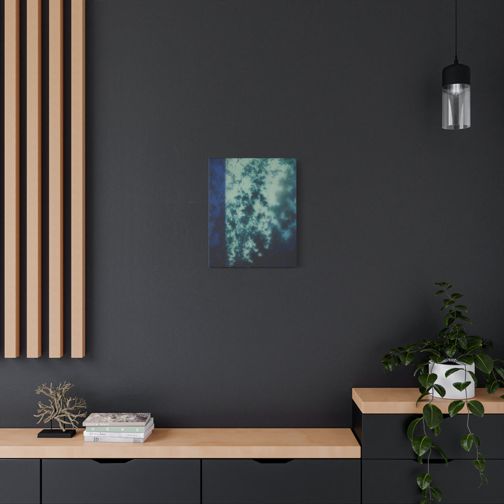 Shadow of a Tree -  Chinese  Contemporary abstract artist - Canvas Print - Gift for new year