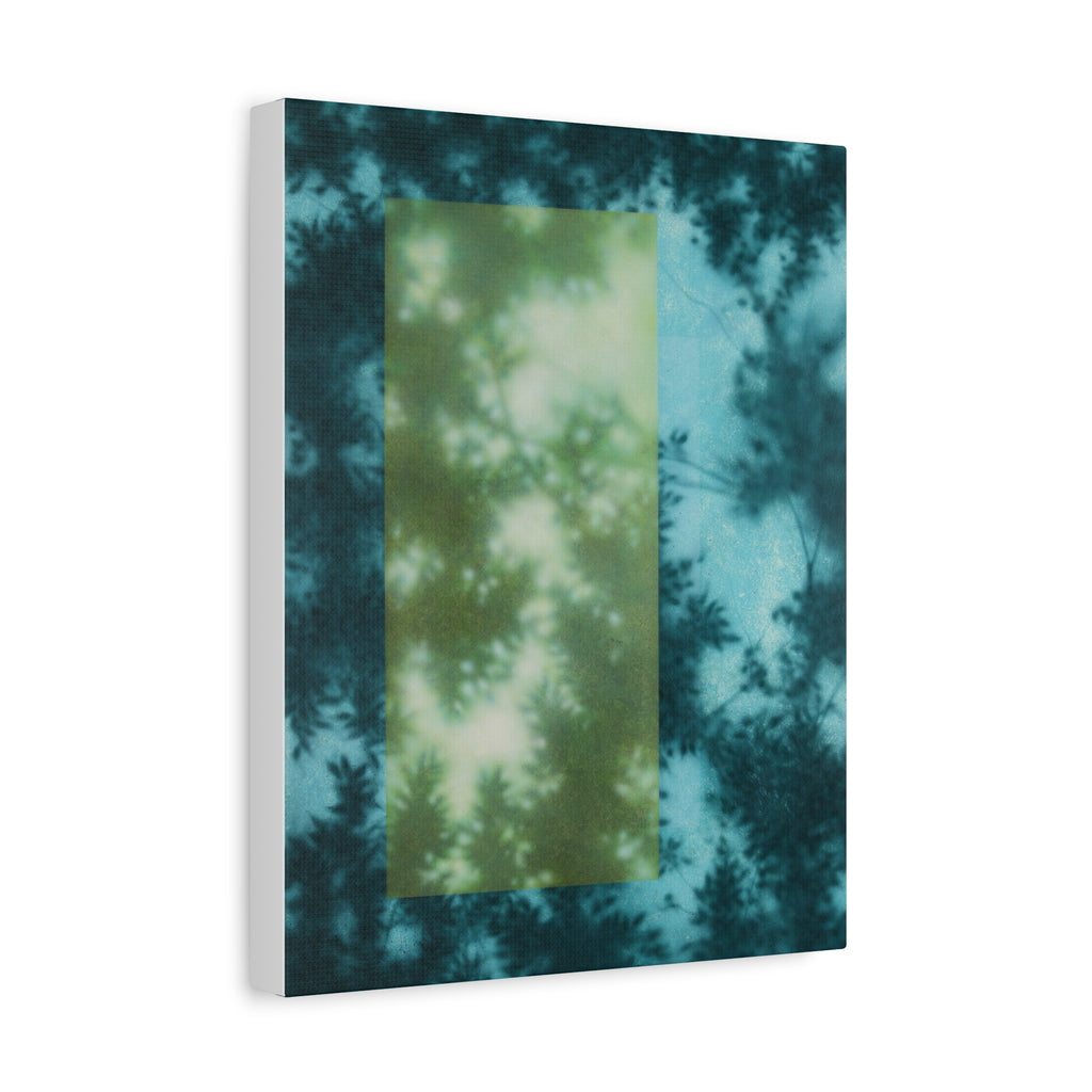 Shadow of a Tree -  Chinese  Contemporary abstract artist - Canvas Print - Gift for new year