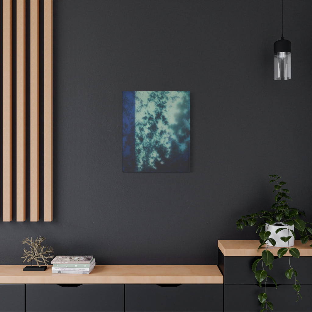 Shadow of a Tree -  Chinese  Contemporary abstract artist - Canvas Print - Gift for new year