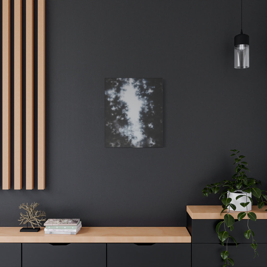 Shadow of a Tree -  Chinese  Contemporary abstract artist - Canvas Print - Gift for new year