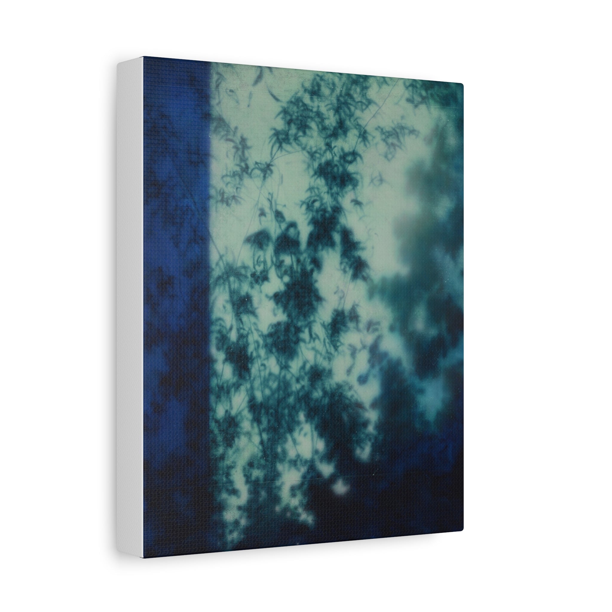 Shadow of a Tree -  Chinese  Contemporary abstract artist - Canvas Print - Gift for new year