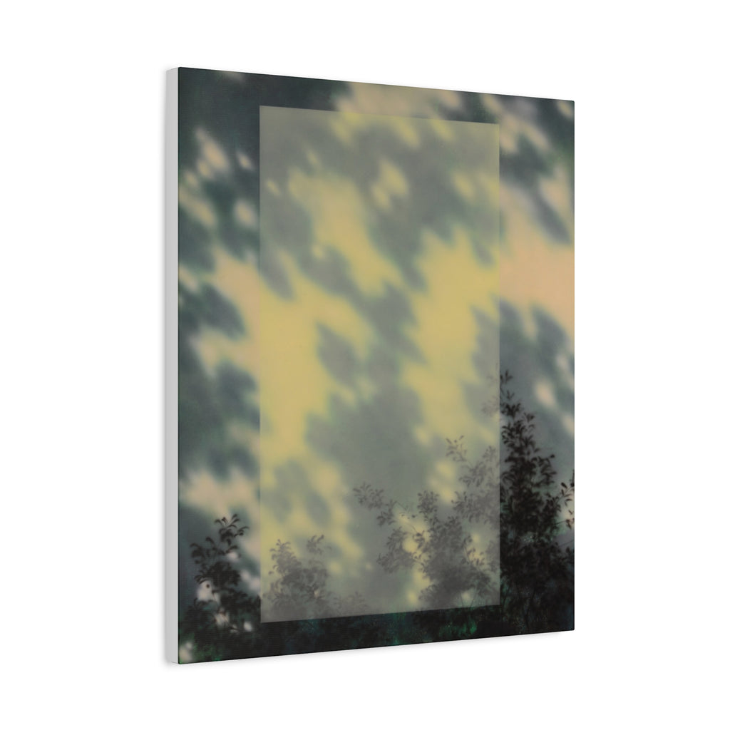 Shadow of a Tree -  Chinese  Contemporary abstract artist - Canvas Print - Gift for new year