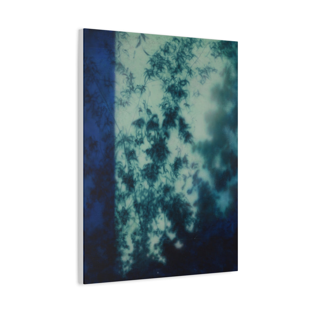 Shadow of a Tree -  Chinese  Contemporary abstract artist - Canvas Print - Gift for new year