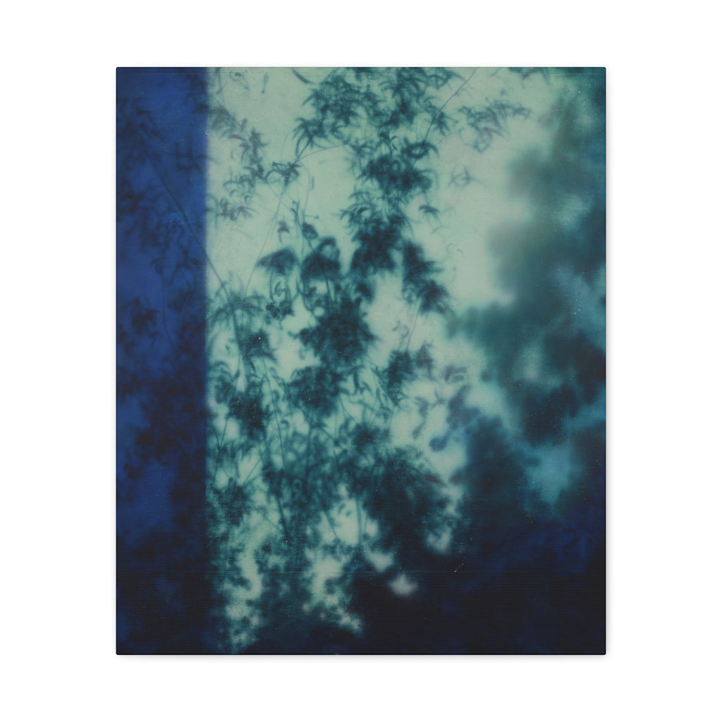 Shadow of a Tree -  Chinese  Contemporary abstract artist - Canvas Print - Gift for new year