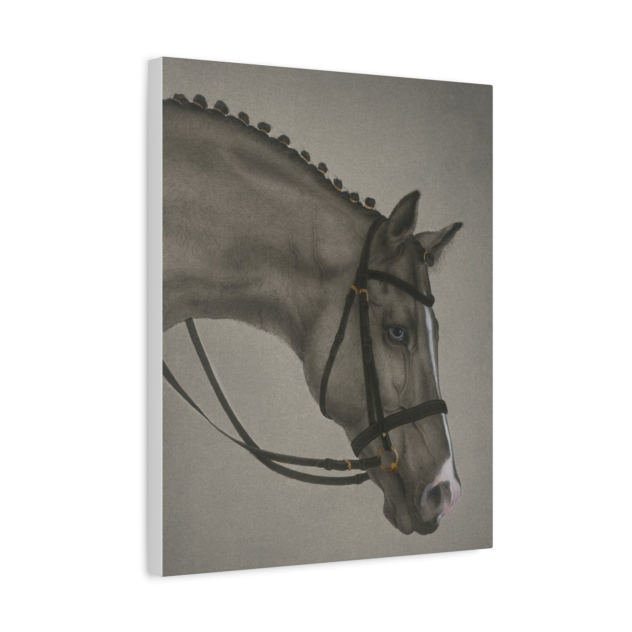 Black Horse -  Chinese  Contemporary watercolor painting - Canvas Print - Gift for year of Horse