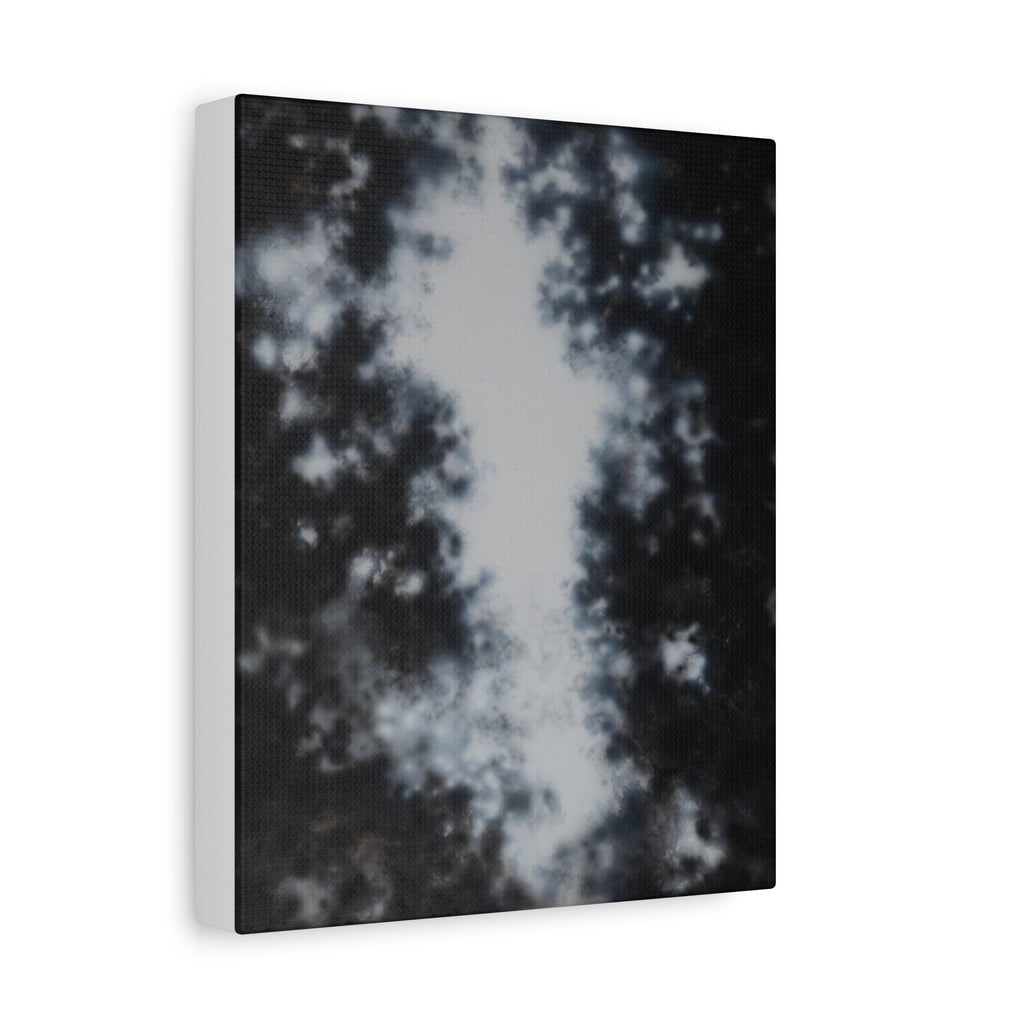 Shadow of a Tree -  Chinese  Contemporary abstract artist - Canvas Print - Gift for new year